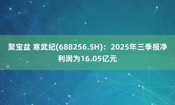 聚宝盆 寒武纪(688256.SH)：2025年三季报净利润为16.05亿元