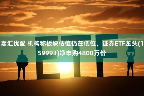 嘉汇优配 机构称板块估值仍在低位，证券ETF龙头(159993)净申购4800万份